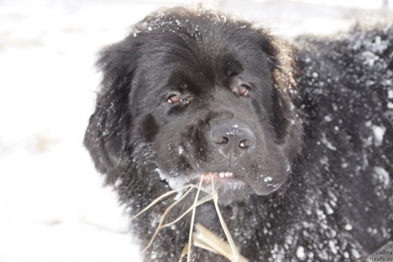 Фотография № 143034