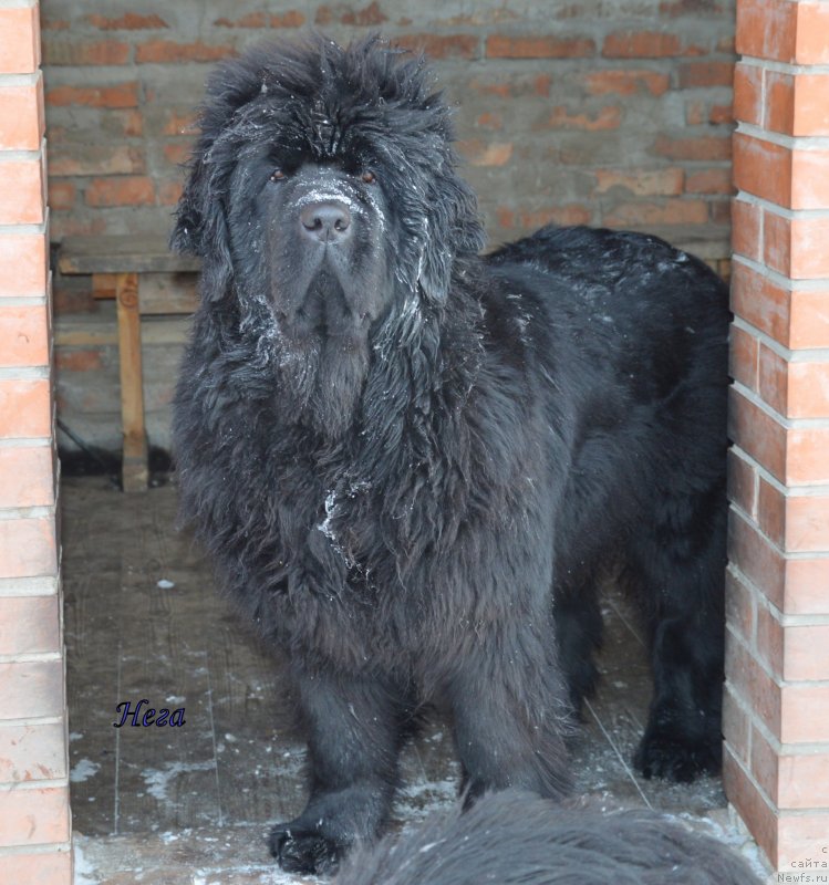 Фотография № 143061