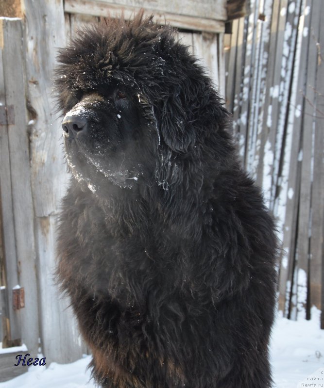 Фотография № 143062