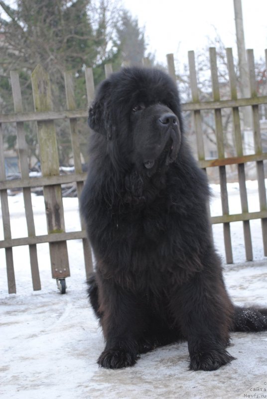 Фотография № 143065