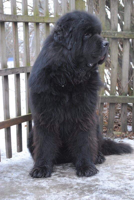 Фотография № 143068