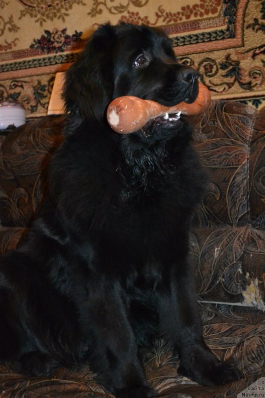 Фотография № 143071