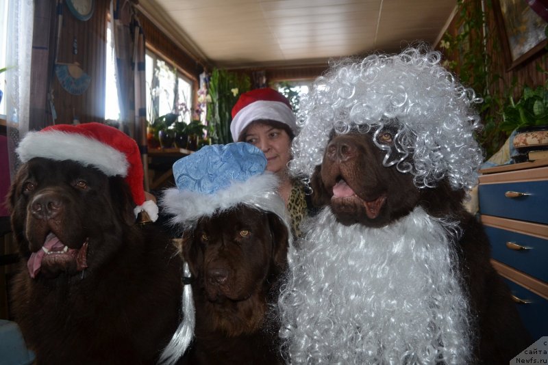 Фотография № 143079