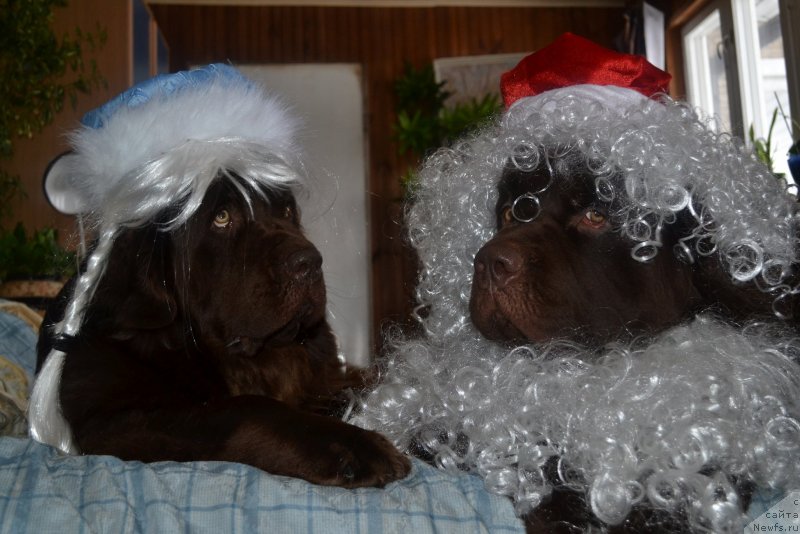 Фотография № 143080