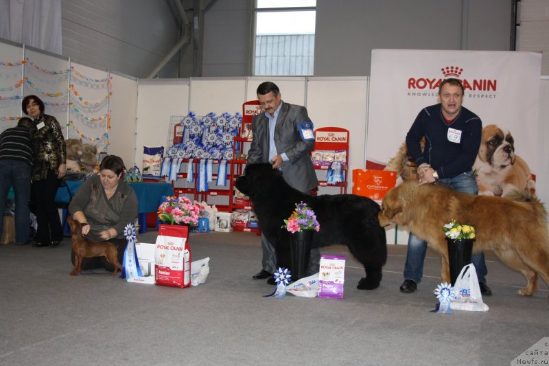 Фотография № 143092