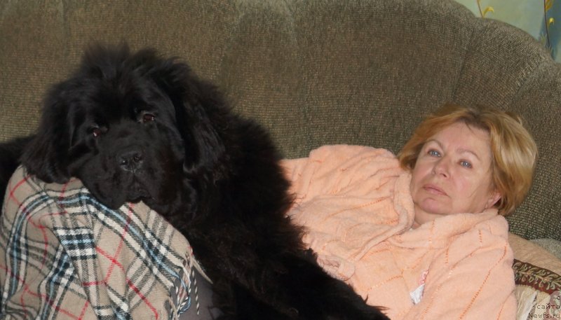 Фотография № 143125