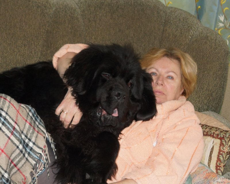 Фотография № 143126