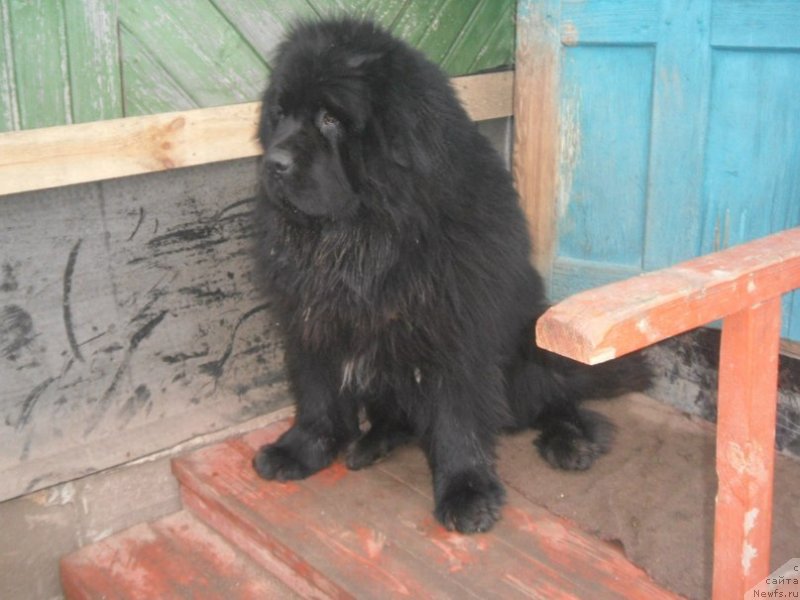 Фотография № 143169