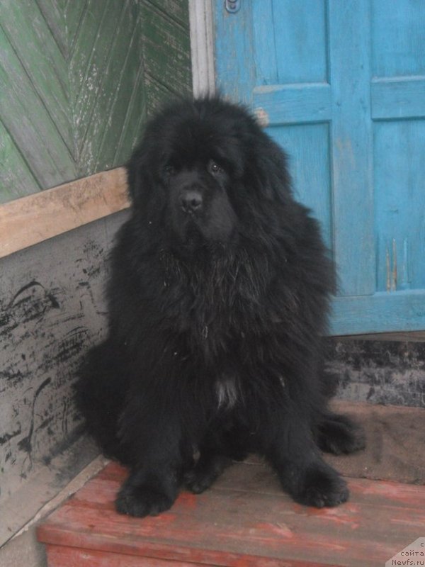 Фотография № 143170