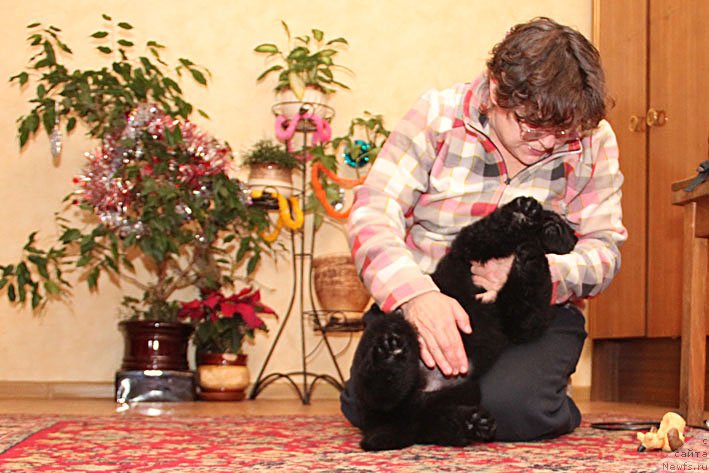 Фотография № 143203