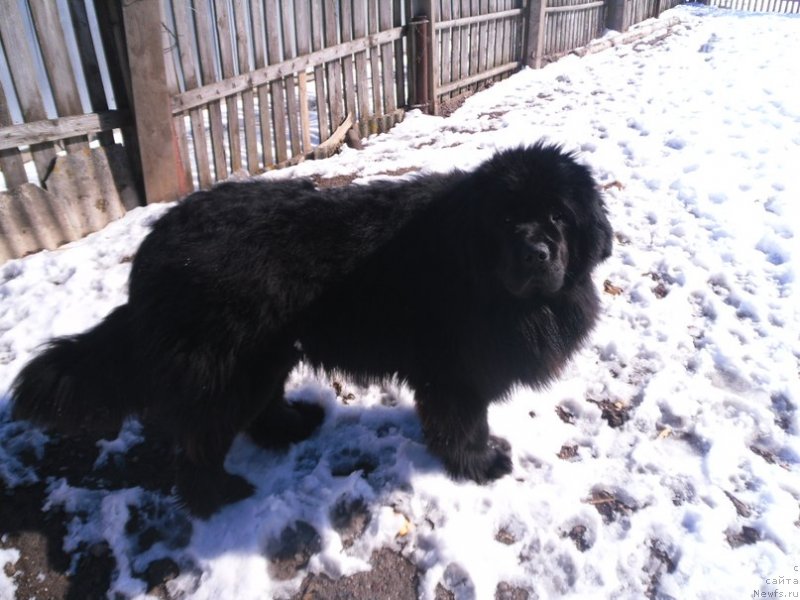 Фотография № 143205