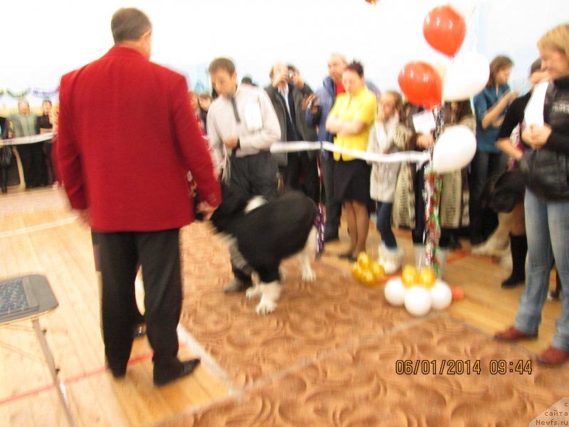 Фото: Судья Стефан Попов Супер Премиум Занзибар