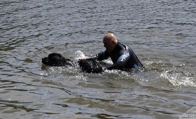 Фотография № 14330