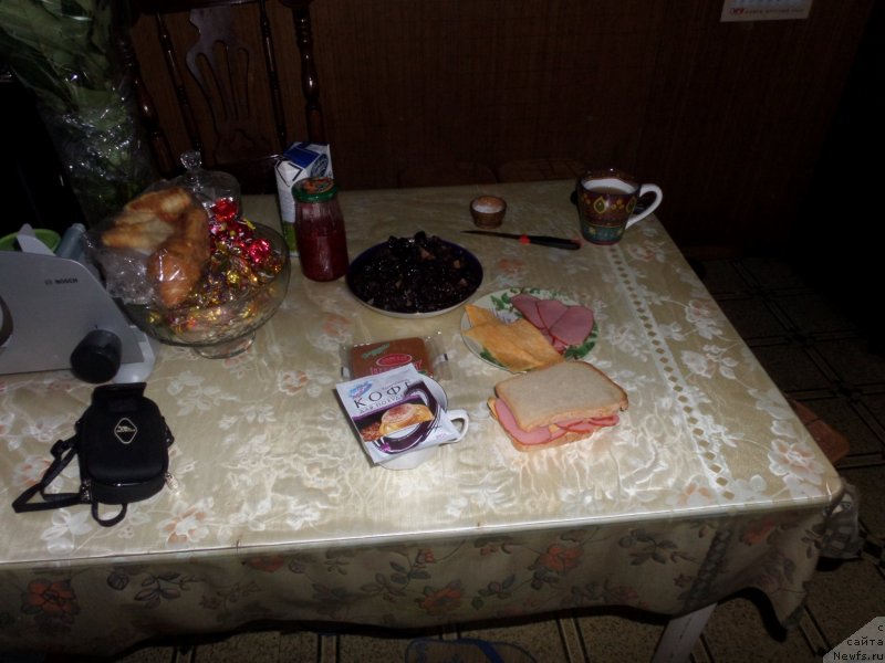 Фото: Sergey Jukov (Сергей Жуков)