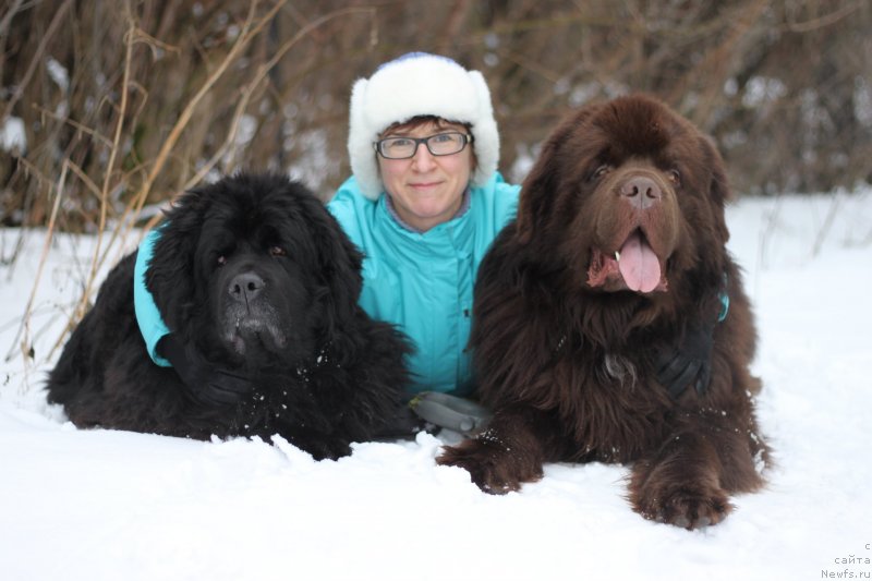 Фото: ньюфаундленд CHilita iz Zolotogo Treugol'nika (Чилита из Золотого Треугольника), ньюфаундленд Aquatoriya Kelvin Rise After Me (Акватория Келвин Райз Афтэ Ми), Snejana SHurinova (Снежана Шуринова)