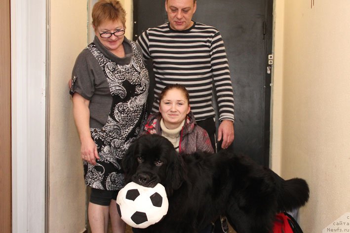 Фото: ньюфаундленд Chernyj Chank s Berega Dona (Черный Чанк с Берега Дона), Irina Skladnova (Ирина Складнова), Galina Artyushina (Галина Артюшина), Дима