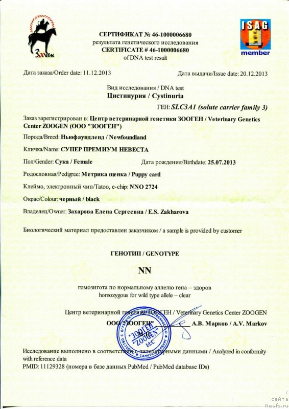 Фотография № 143349