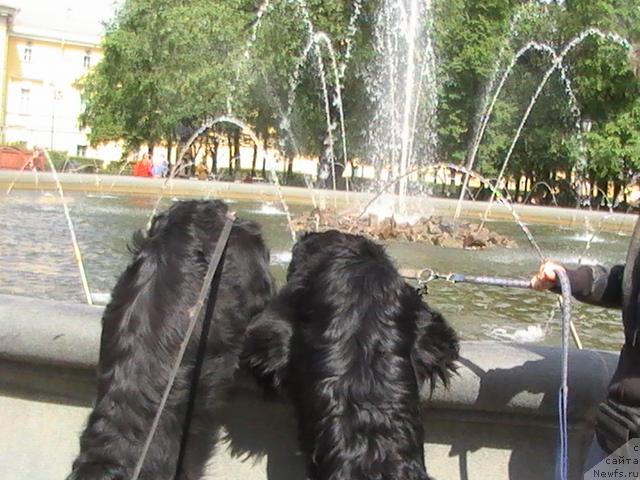 Фотография № 14337