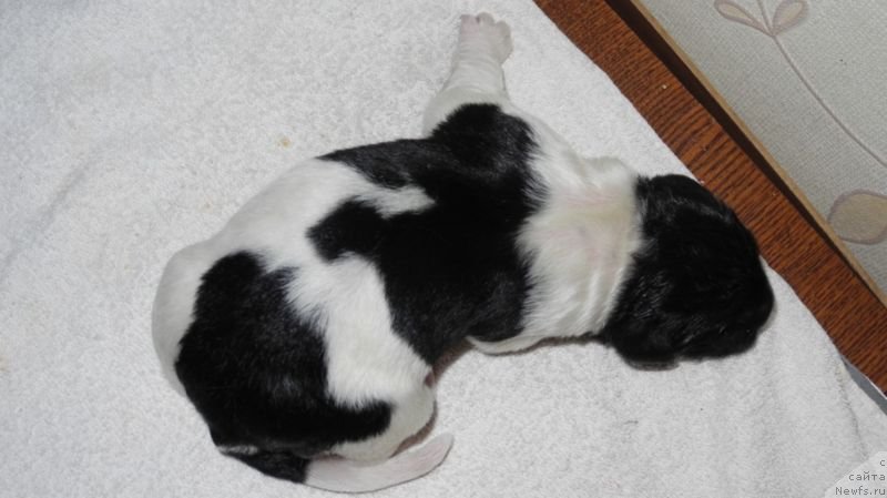 Фотография № 143417