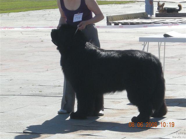 Фотография № 14347