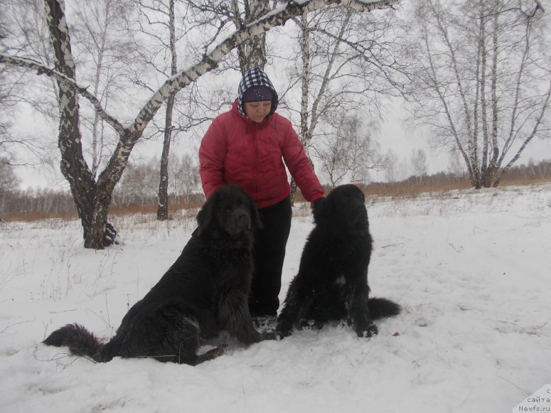 Фото: Oksana Konopel'ceva (Оксана Конопельцева), ньюфаундленд Akvamarinovaya Krasotka dlya Marleon (Аквамариновая Красотка для Марлеон), ньюфаундленд Intriga Nochi ot Marleon Dusvik (Интрига Ночи от Марлеон Дусвик)