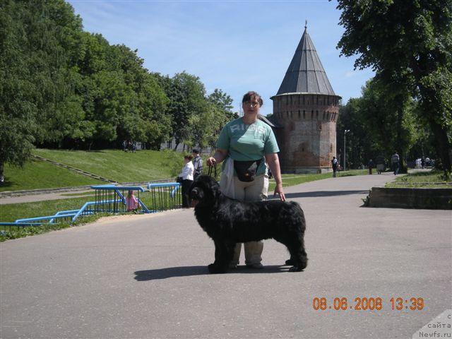 Фотография № 14351