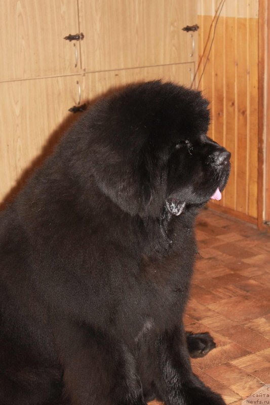 Фотография № 143528