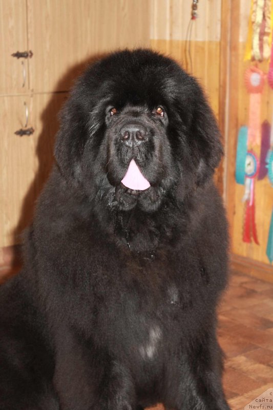 Фотография № 143529