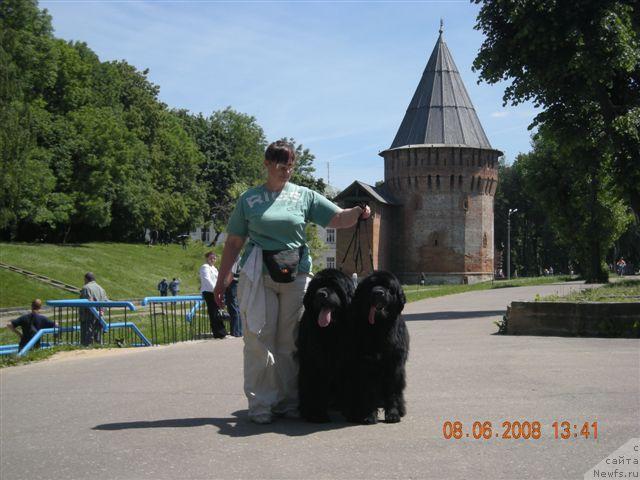 Фото: ньюфаундленд Plushevaya Panda Borislav (Плюшевая Панда Борислав), ньюфаундленд Plushevaya Panda Anabella Beautiful (Плюшевая Панда Анабелла Бьютифул)