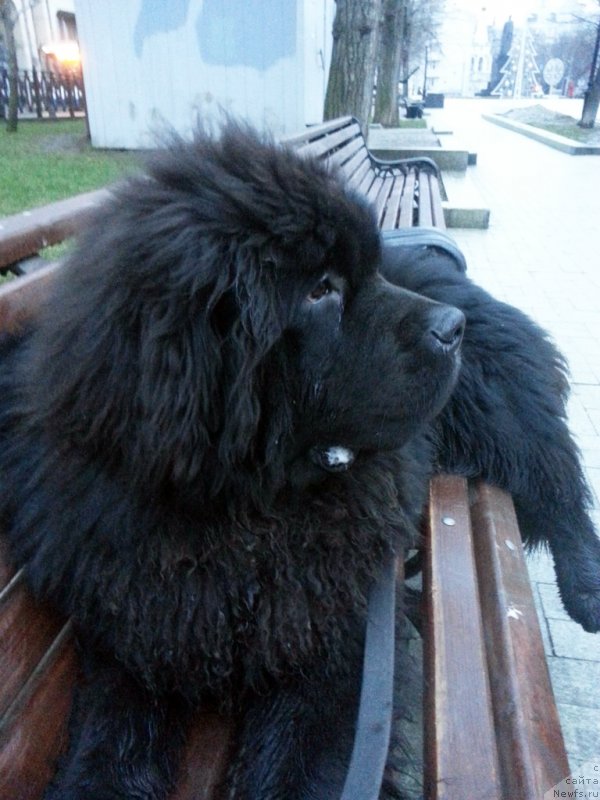 Фотография № 143548