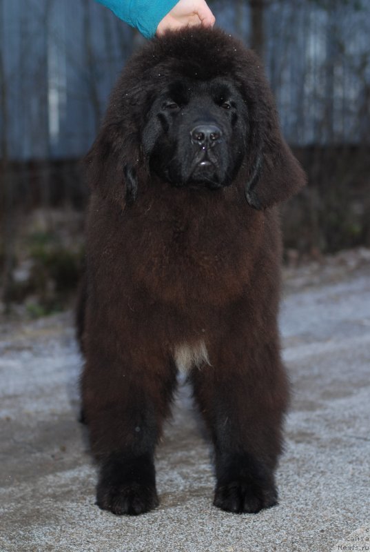 Фотография № 143568