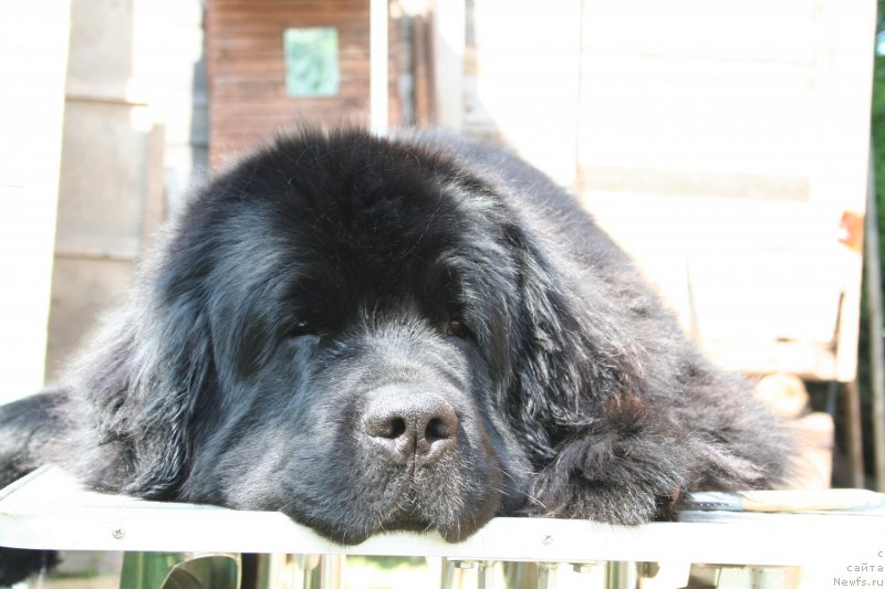 Фотография № 143575