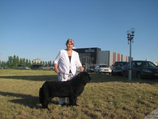 Фотография № 14368