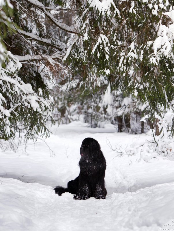 Фотография № 143683