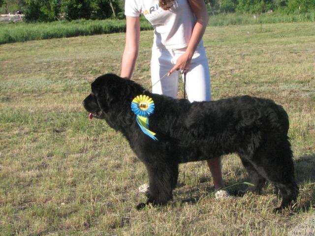 Фотография № 14369