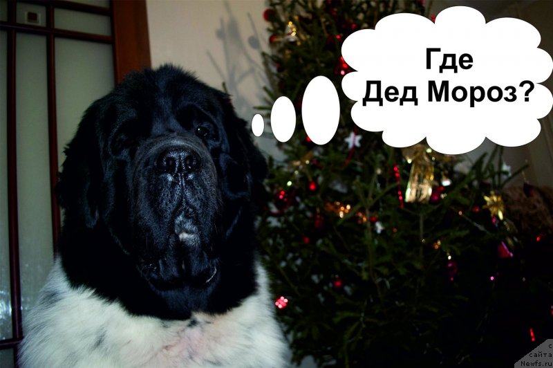 Фотография № 143700