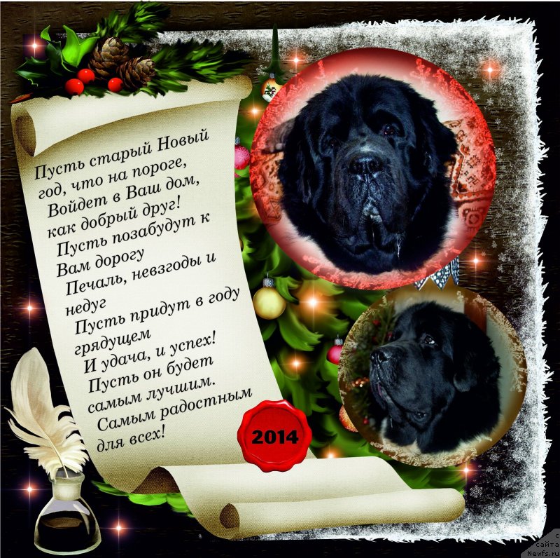 Фотография № 143702