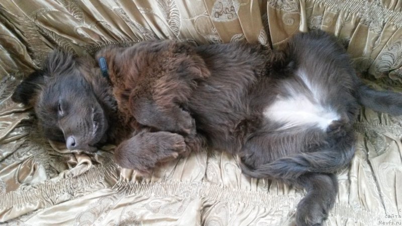 Фотография № 143743