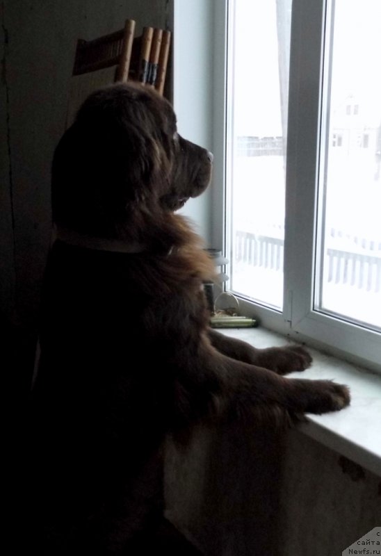 Фотография № 143777