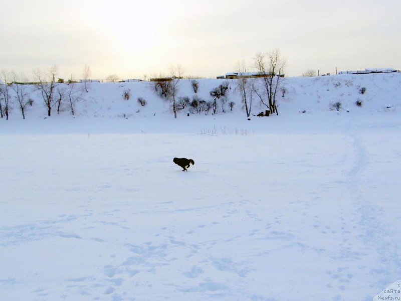 Фотография № 143778