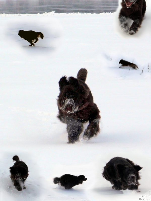 Фотография № 143779