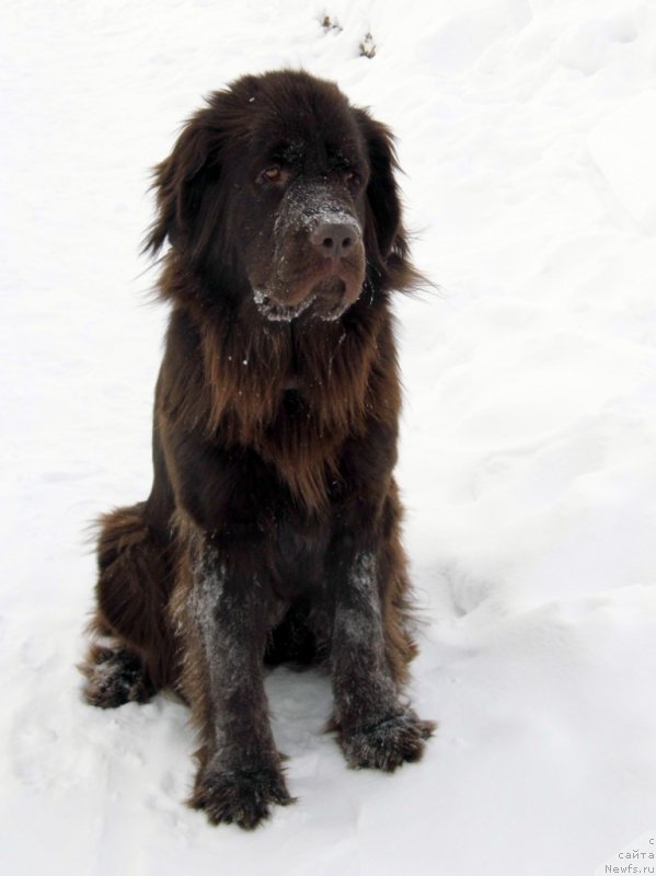 Фотография № 143780