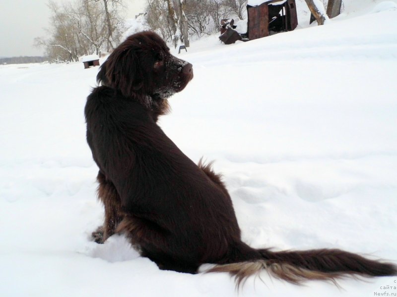 Фотография № 143781