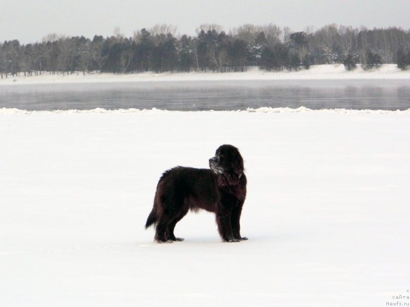 Фотография № 143782