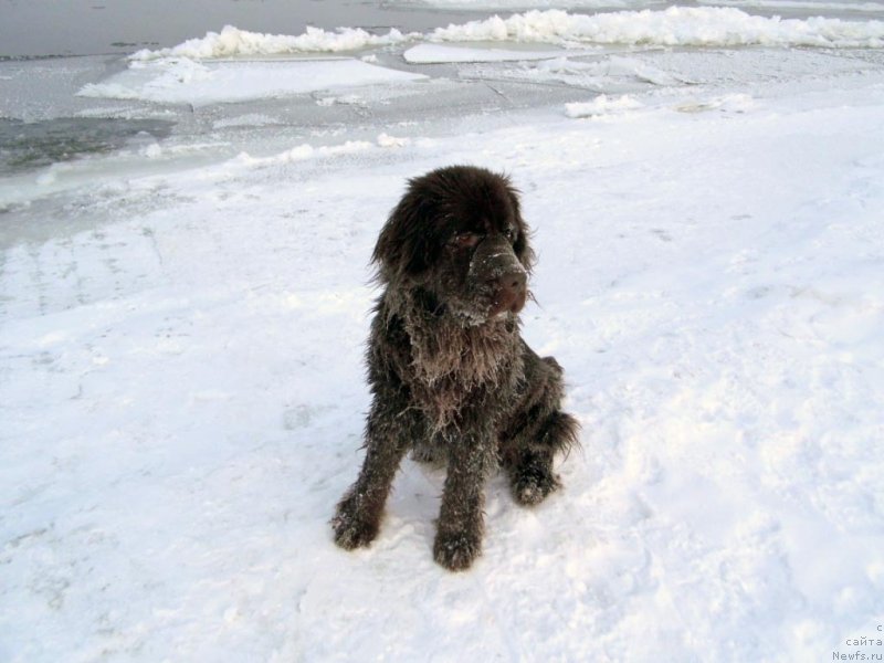 Фотография № 143783