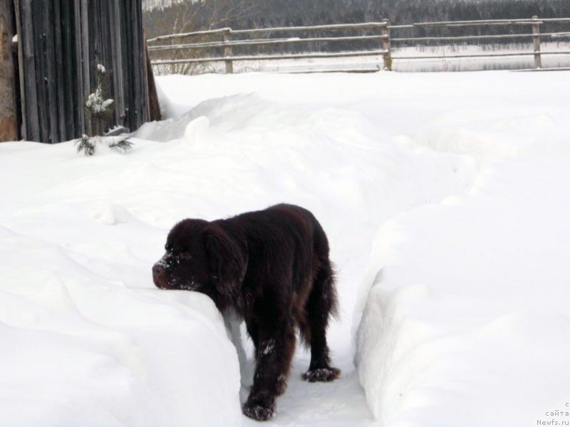 Фотография № 143784