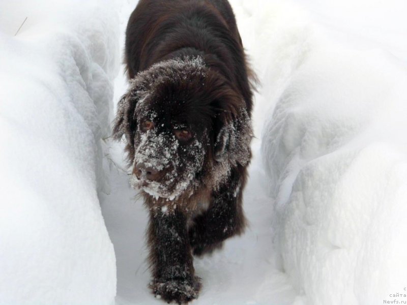 Фотография № 143785