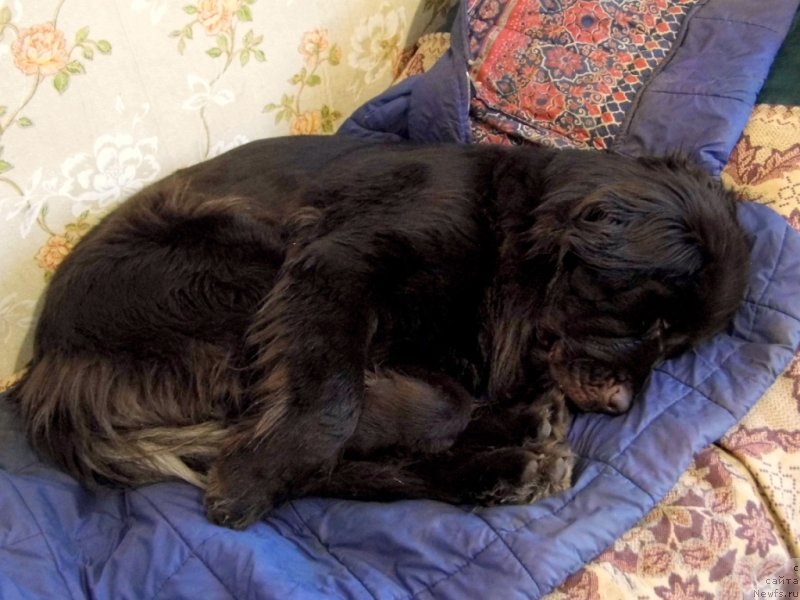 Фотография № 143786