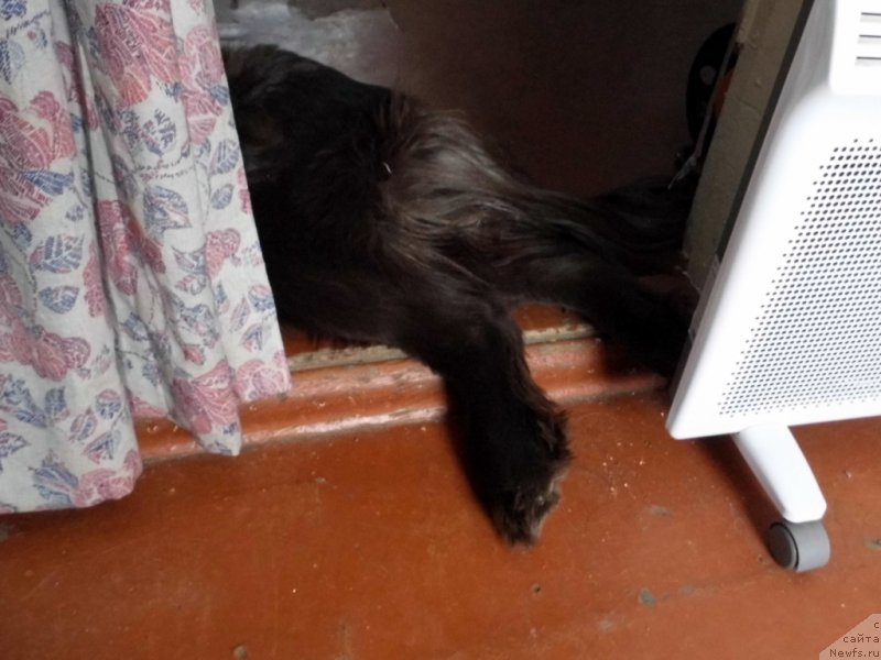 Фотография № 143787