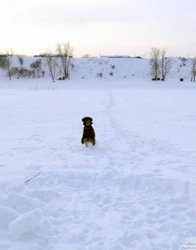 Фотография № 143788